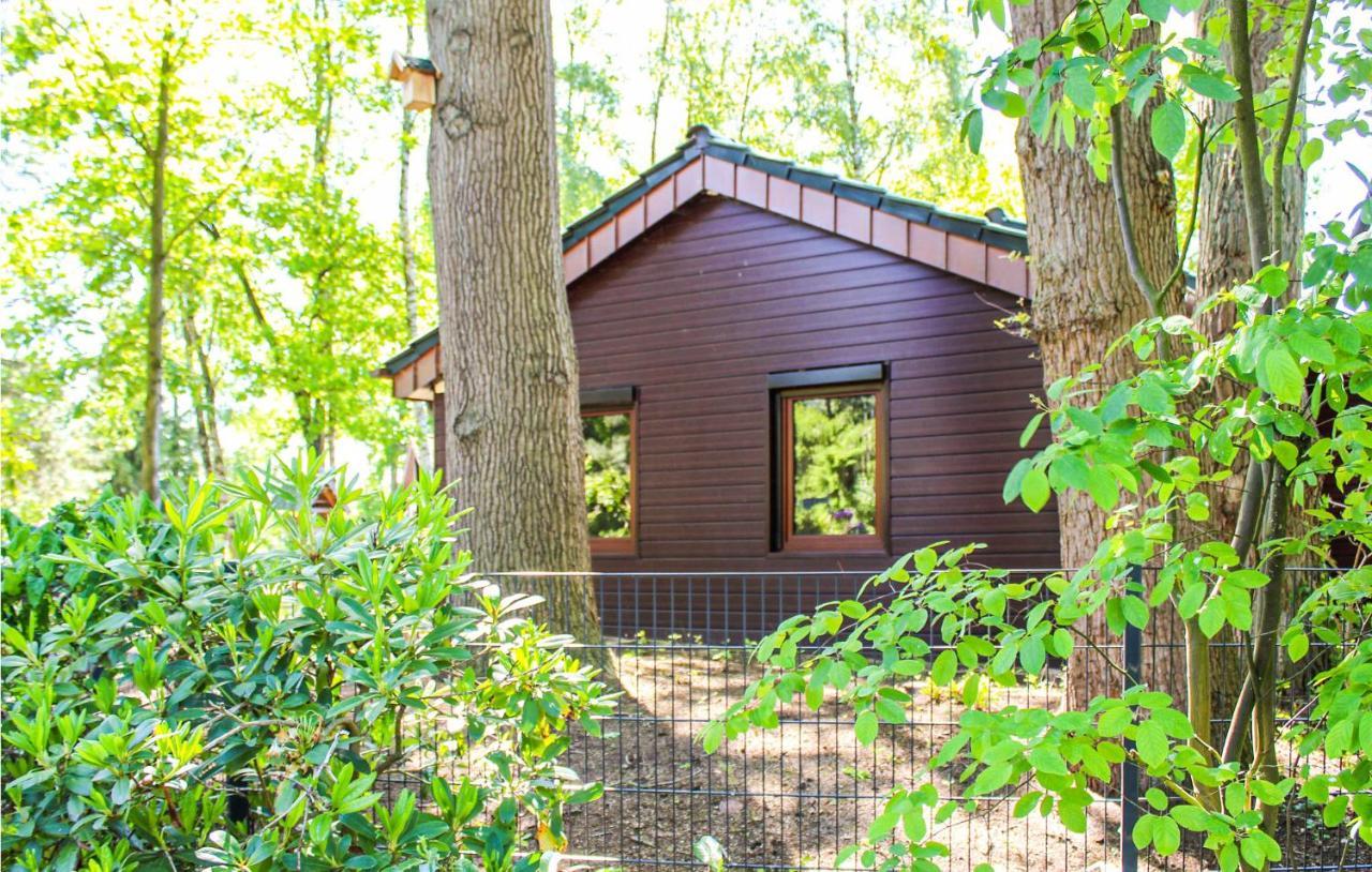 Pet Friendly Home In Haren With Sauna Dankern Kültér fotó