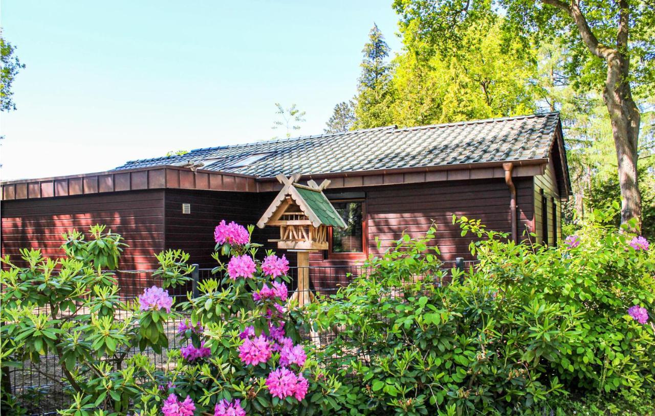 Pet Friendly Home In Haren With Sauna Dankern Kültér fotó