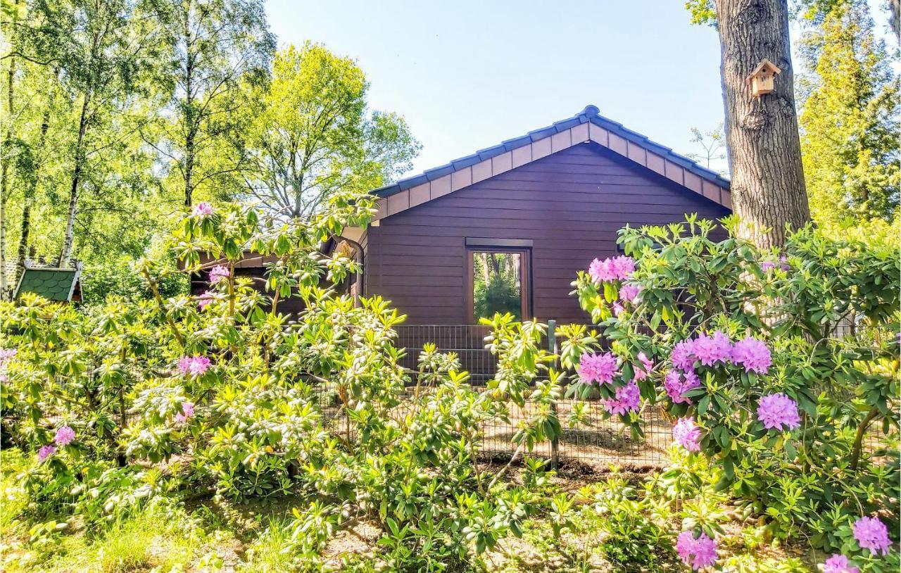 Pet Friendly Home In Haren With Sauna Dankern Kültér fotó